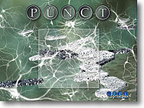 Bild von 'Pünct'