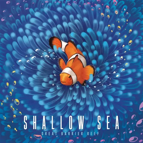 Bild von 'Shallow Sea'